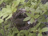 img0009.jpg